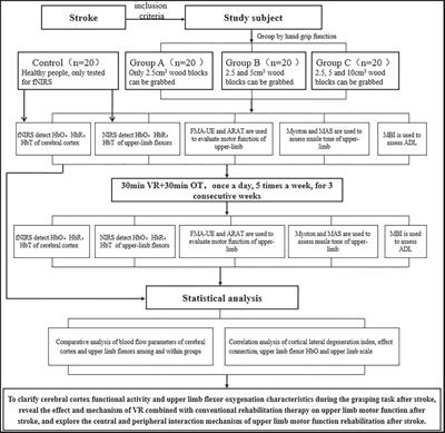 Characteristics of central cortex and upper-limb flexors synchrony oxygenation during grasping in people with stroke: a controlled trial study protocol